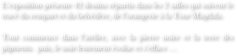 L’exposition présente 42 dessins répartis dans les 2 salles qui suivent le tracé du rempart et du belvédère, de l’orangerie à la Tour Magdala.

Tout commence dans l’atelier, avec la pierre noire et la terre des pigments.  puis, le noir lentement évolue et s’efface …